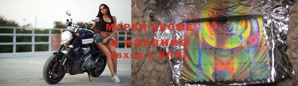 ГАЛЛЮЦИНОГЕННЫЕ ГРИБЫ Аркадак