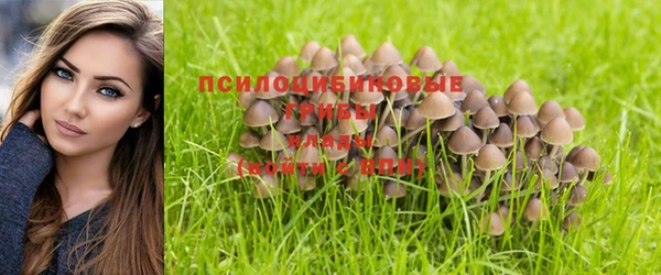 мет Арсеньев