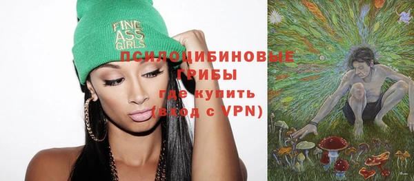 ГАЛЛЮЦИНОГЕННЫЕ ГРИБЫ Аркадак