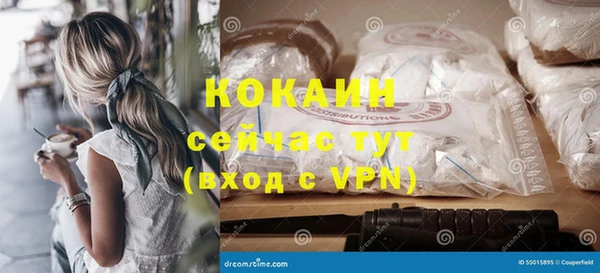 мет Арсеньев