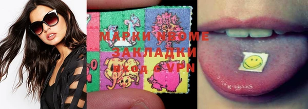ГАЛЛЮЦИНОГЕННЫЕ ГРИБЫ Аркадак