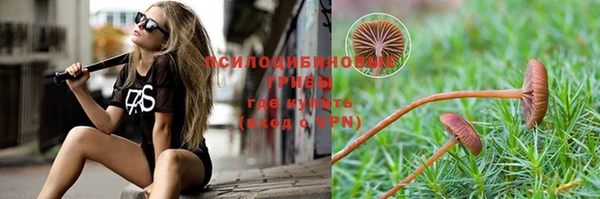 ГАЛЛЮЦИНОГЕННЫЕ ГРИБЫ Аркадак