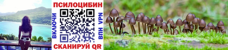 Псилоцибиновые грибы мухоморы  MEGA ссылка  Звенигово 